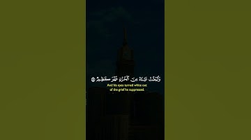 #قران_كريم #quranictranslation #quran #قرآن #قرآن_كريم #قران #تلاوة_خاشعة #تلاوة_هادئة #تلاوة_مميزة