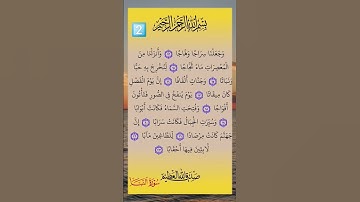 سورة النبأ صلاح أبو خاطر المصحف المعلم