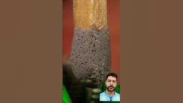 Close up view of Matchstick😍#shorts #asmr #macro #viral