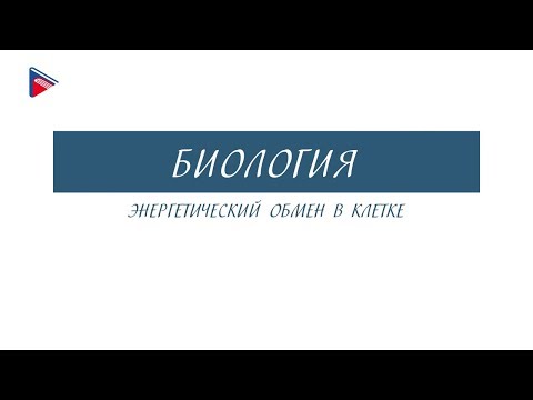 10 класс - Биология - Энергетический обмен в клетке