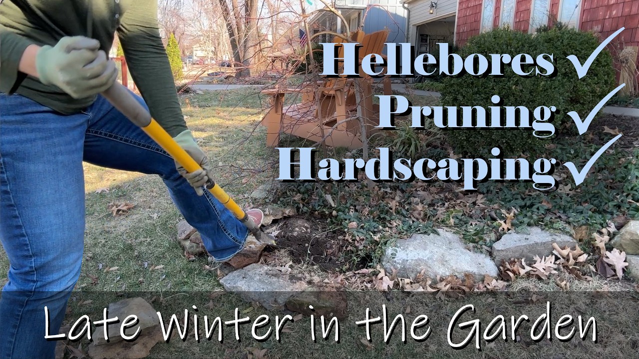 Морозники, обрезка и благоустройство территории | Поздняя зима в саду