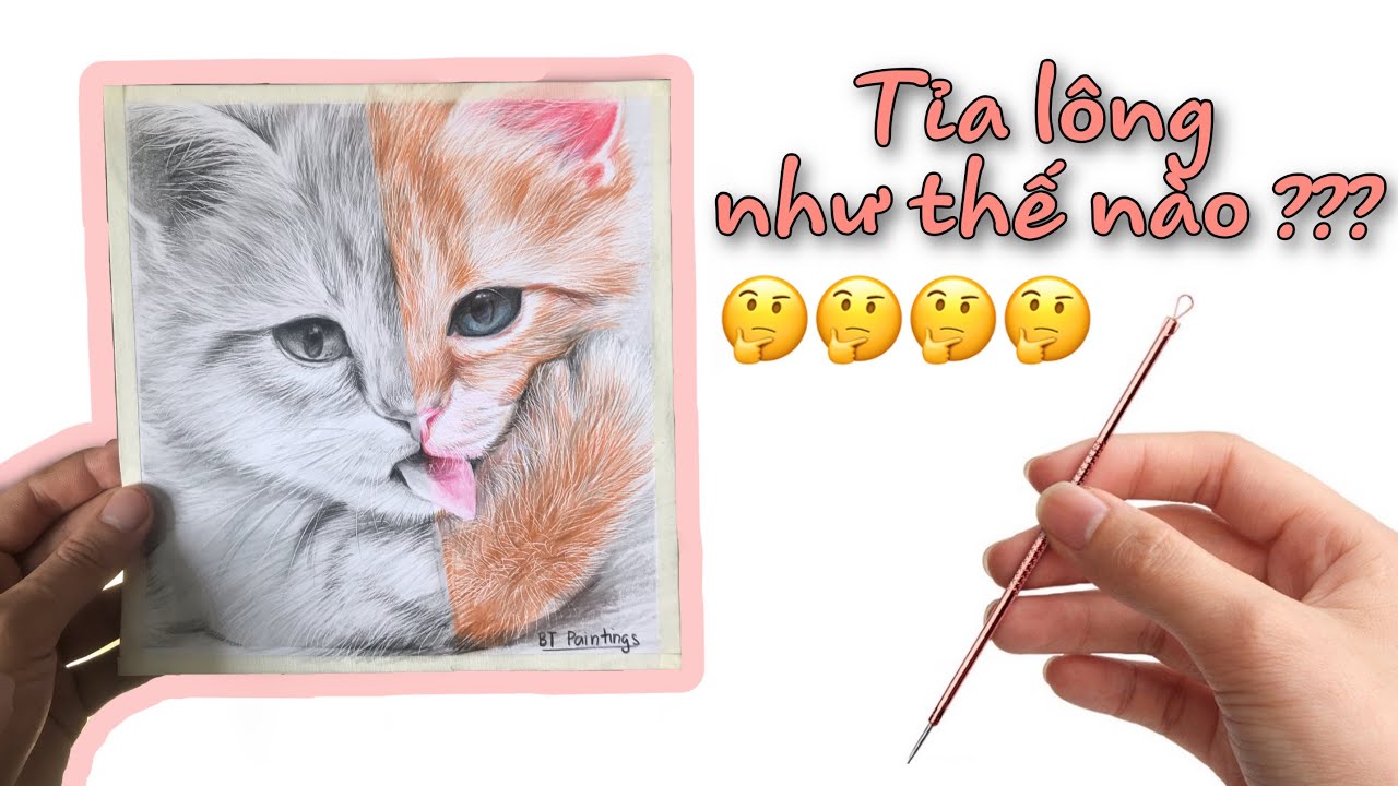 Những bí quyết đơn giản cho Cách vẽ lông mèo mà ai cũng có thể thực hành