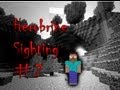 Minecraft Herobrine First Sighting
