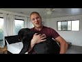 Carrying my Rottweiler to the bathroom! Rotty Ranch Vlogs #021