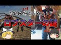 【ゆっくり解説】寿命が存在しない！？ロブスターの謎
