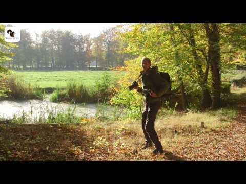 Fotograferen in de natuur - Herfstkleuren