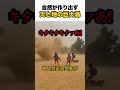 自然が作り出す天と地の巨大渦巻き
