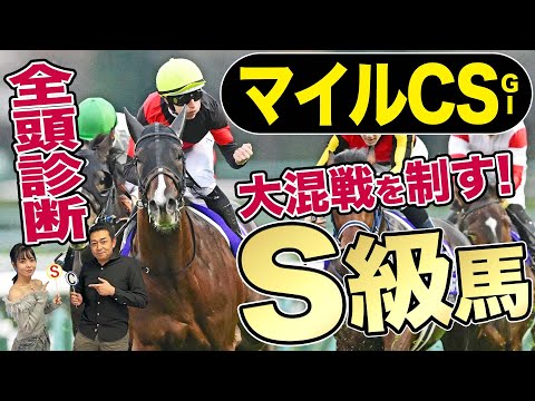 【マイルチャンピオンシップ2023】全頭診断！大混戦を制すＳ評価馬はこれだ！昨年覇者セリフォス「ぶっつけ不安説」「人気薄なら抑えたい穴馬」を競馬記者が解説《東スポ競馬》