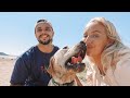 WEEKLY SUMMER VLOG | Herbie's 2nd Birthday Surprise! | Elle Darby