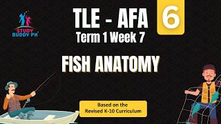 TLE 6 - AFA, Term 1 Week 7: Fish Anatomy