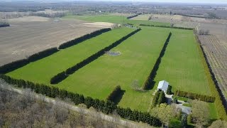 Adam DeGroote SOLD 12 Hatchley Rd, Harley #adamdegroote Adam DeGroote SOLD 12 Hatchley Rd, Harley #adamdegroote