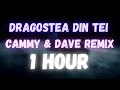 O-Zone - Dragostea Din Tei (Cammy x Dave Remix) | 1 HOUR