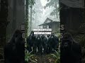 Dian Fossey: The Quiet Courage Behind Mountain Gorillas