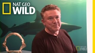 Head of Production Steve Eder | Shark Attack Experiment Live!