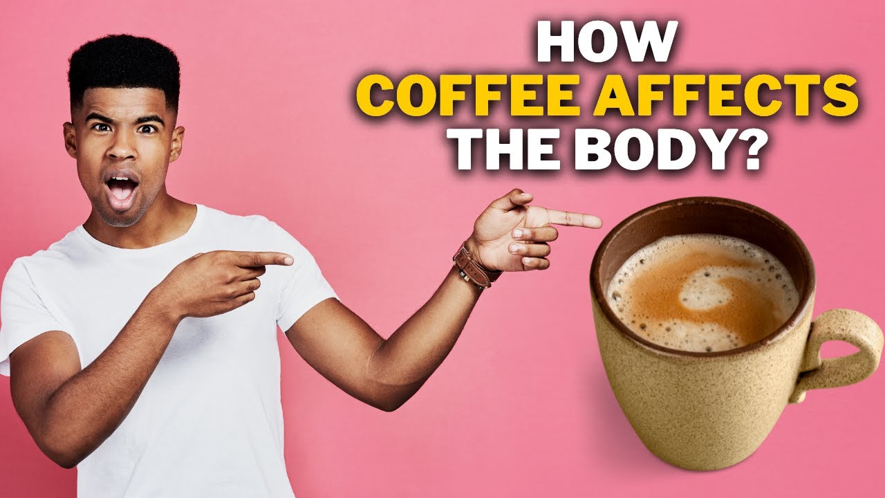 How Coffee Affects The Body? YouTube