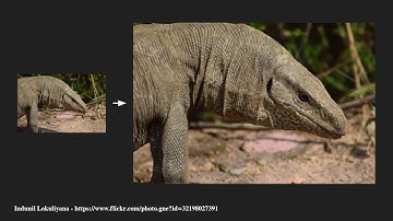 3D Ken Burns Effect from a Single Image - Results