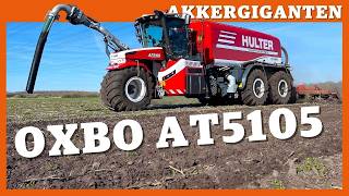 The field giant: Oxbo AT 5105