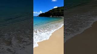 Soothing Ocean Waves 🌊 Pure Sea Sound for Deep Relaxation#OceanWaves #SeaSounds #ASMR #NatureSounds