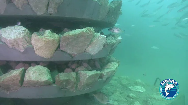 MB 178 Sharyn Joy Kerns Memorial Reef 10 and 24 Ma...
