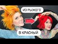 Как покрасить волосы самостоятельно? Крашу себе волосы в красный Iro Iro Red