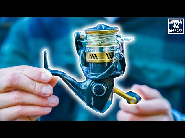 Should You Buy This SHIMANO Reel? (SAHARA REVIEW) BEST