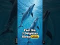5 Amazing Animal Facts You Probably Didn’t Know  | Mind-Blowing Facts About Animals #facts #animals