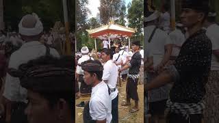upacara sawa wedana Bhujangga wisnawa Desa kayu putih kec Banjar buleleng 2023.(2)
