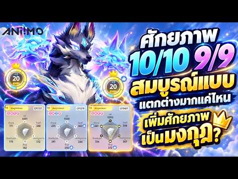 How Different Are 10/10 and 9/9 Potential? Is Perfect Worth Upgrading to Crown? | Aniimo