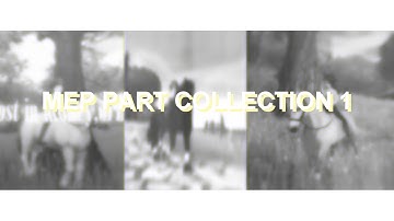 ＭＥＰ ＰＡＲＴ ＣＯＬＬＥＣＴＩＯＮ ＃１