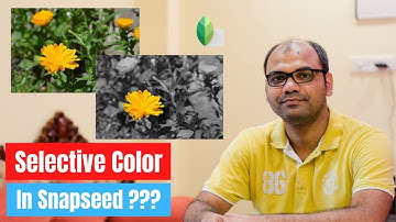 How to do Selective Coloring (Color Splash) in Snapseed - In Hindi