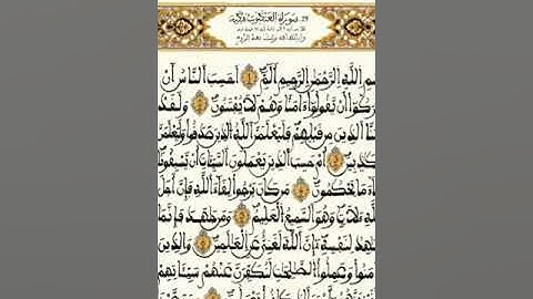 تلاوة للقارئ محمد الكنتاوي ماتيسر من سور:العنكبوت الروم لقمان السجدة