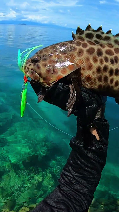 Fishing in extreme weather on the edge of the coral reef, strike delicious fish #fishing #ultrali...