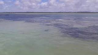 Piscinas Naturais de Paripueira- ALAGOAS