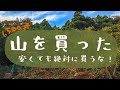 【山開拓 #1】山を買いました | 買ってはいけない土地の選び方【山林1,500坪】