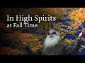 In high spirits at fall time  sadhguru spot  shemaroo spiritual life