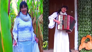 BYŁ TO CHŁOPCZYNA #accordionmusic , #folk  - Wiesia