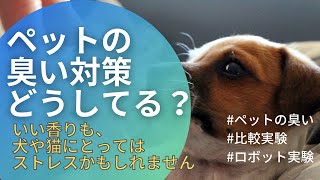 犬や猫に大丈夫？　人気消臭剤、スプレーした後を、比較実験！