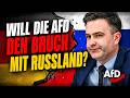 Plant die AfD den Bruch mit Russland? Interview mit Dominik Kaufner (AfD-Brandenburg)