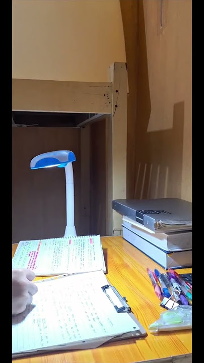 Study With Me (Timelapse) [Music: Chill Vibes by Febri Handika]