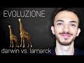 Evoluzione  le teorie di lamarck e darwin spiegate in modo semplice