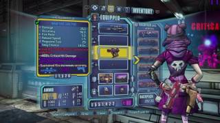 Borderlands 2: Infinite Critical Damage Stack! Over 11,000,000 At Rank 35!