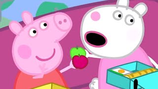 Peppa Pig en Español Episodios completos  La excursión  Peppa Pig | Pepa la cerdita