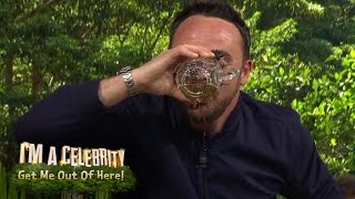 Details Ant Downs a Cider Live on Air | I'm A Celebrity...Extra Camp News