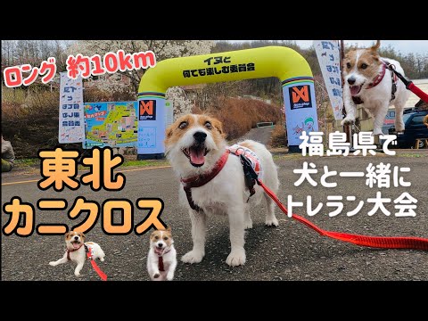 犬と出られるトレラン大会 約10km 東北カニクロス in 福島県西郷村