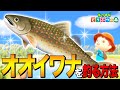 【あつ森】魚影バグ？歩く魚「オオイワナ」を釣る方法 ～Char～【あつまれ どうぶつの森】