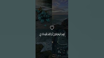 القرآن راحة نفسية 💙تلاوة مؤثرة بصوت جميل جدا حالات واتس اب دينية