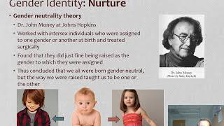 HSB Lecture 3b   Development of Gender Identity