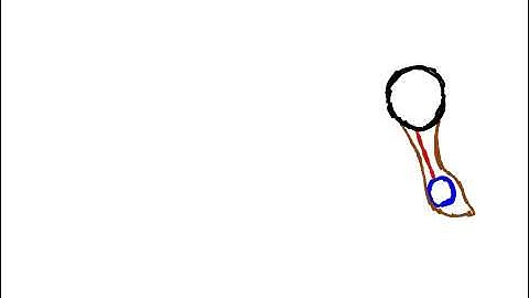 Overlapping Action Project