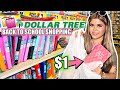 HUGE Dollar Tree Back To School Shopping Spree & Haul!