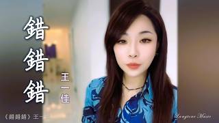 錯錯錯 Cuo cuo cuo 王一佳 Wang Yi Jia #動態歌詞 Pinyin/Lyrics Music